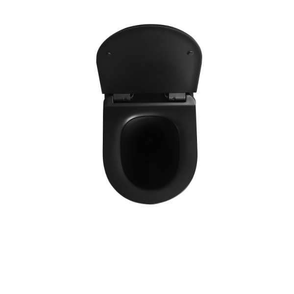 wholesale wall mounted toilet black K4881 (2)