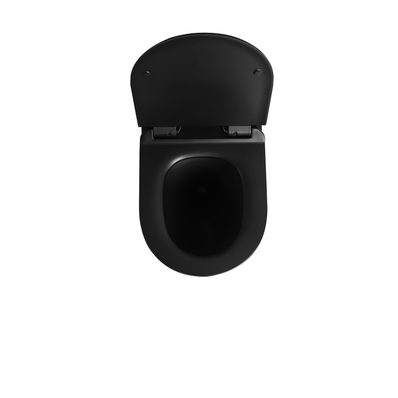 wholesale wall mounted toilet black K4881 (2)