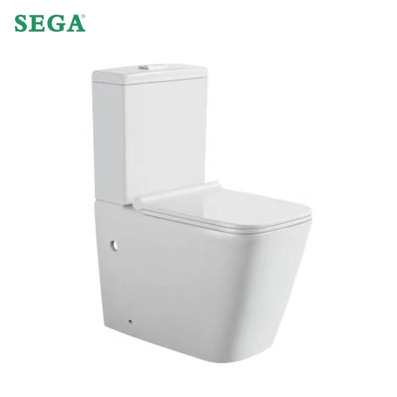 Туалеты Custom Toilets Two-Piece M-9056T (1)