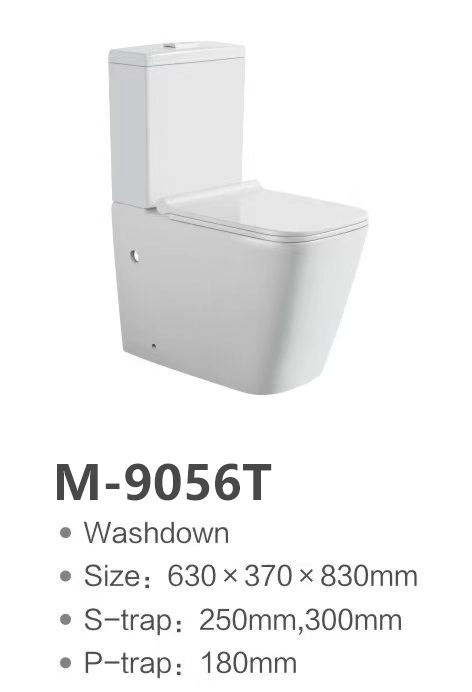 Туалеты Custom Toilets Two-Piece M-9056T (2)