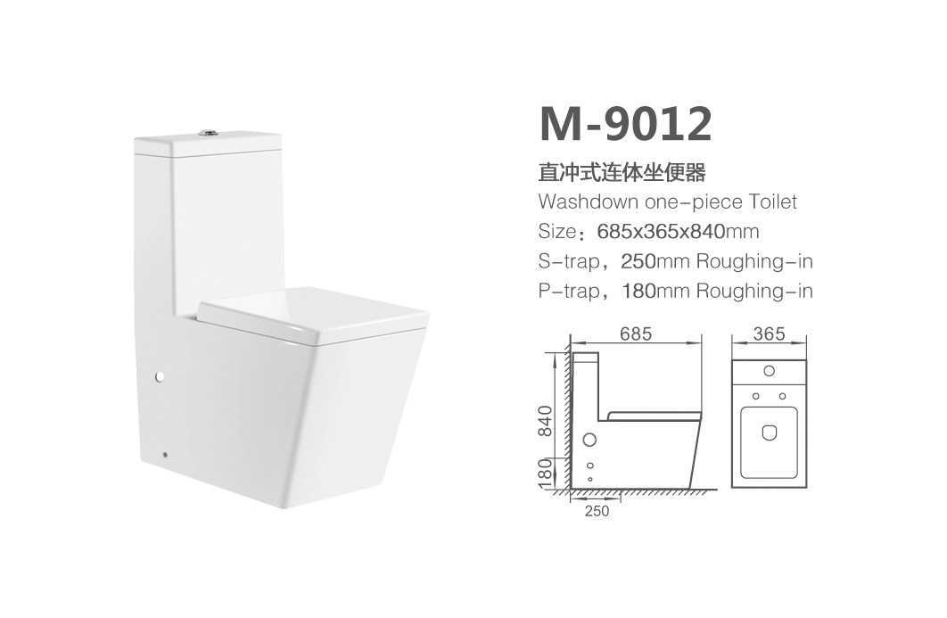 toilettes modernes en gros à une pièce M-9012 (2)
