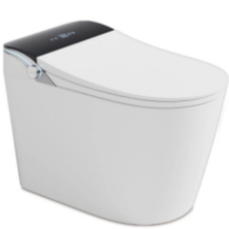 2026 Sanitary Ware Trends Minimalism Smart Design Practical Function & Qiality SEGA Modern Toilet Wholesale Toilet(1)