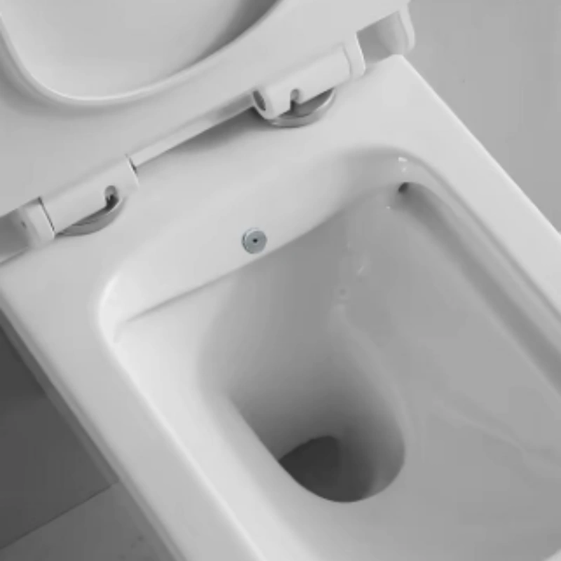 2026 Sanitary Ware Trends Minimalism Smart Design Practical Function & Qiality SEGA Modern Toilet Wholesale Toilet(3)
