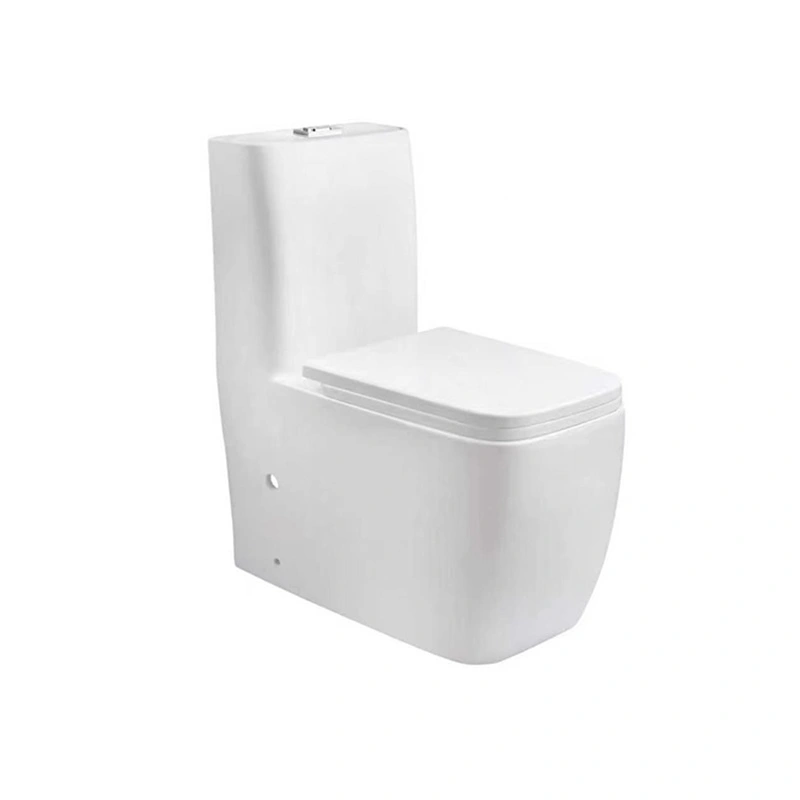 Custom One-Piece Toilet M-9710