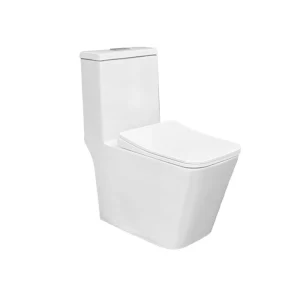Modern One-Piece Toilet Custom, Tornado Silent Washdown Flush M-9702 Wholesale