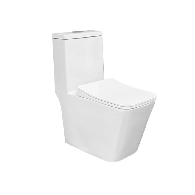 Modern One-Piece Toilet Custom, Tornado Silent Washdown Flush M-9702 Wholesale