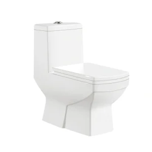 Wholesale Toilet One-Piece with Seamless Integrated Ceramic Design, S-Trap & P-Trap M-9038